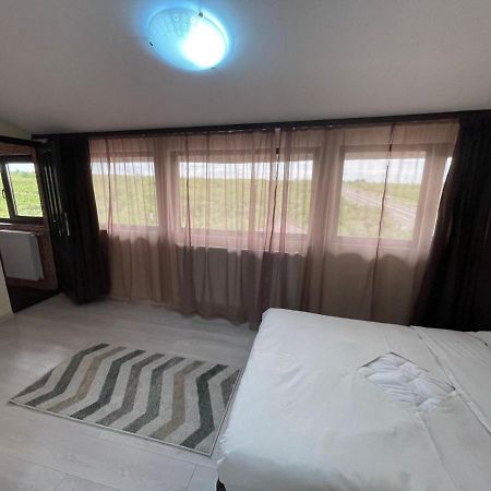 Motel Orion Obrejita Kültér fotó