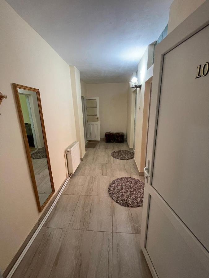 Motel Orion Obrejita Kültér fotó