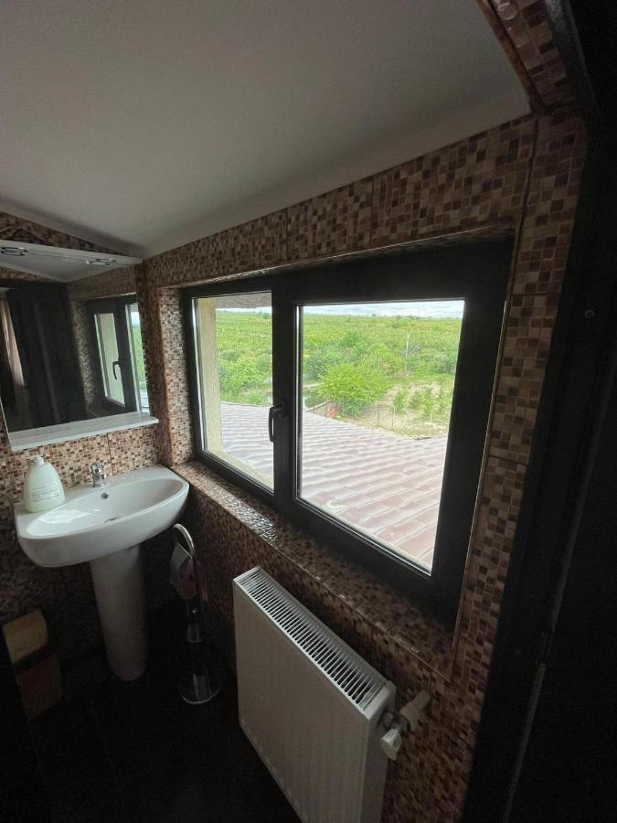 Motel Orion Obrejita Kültér fotó